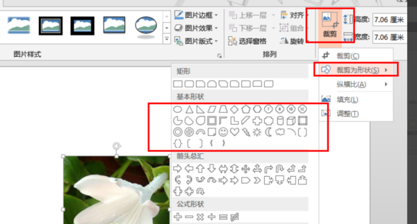 wps图片裁剪工具哪里图片